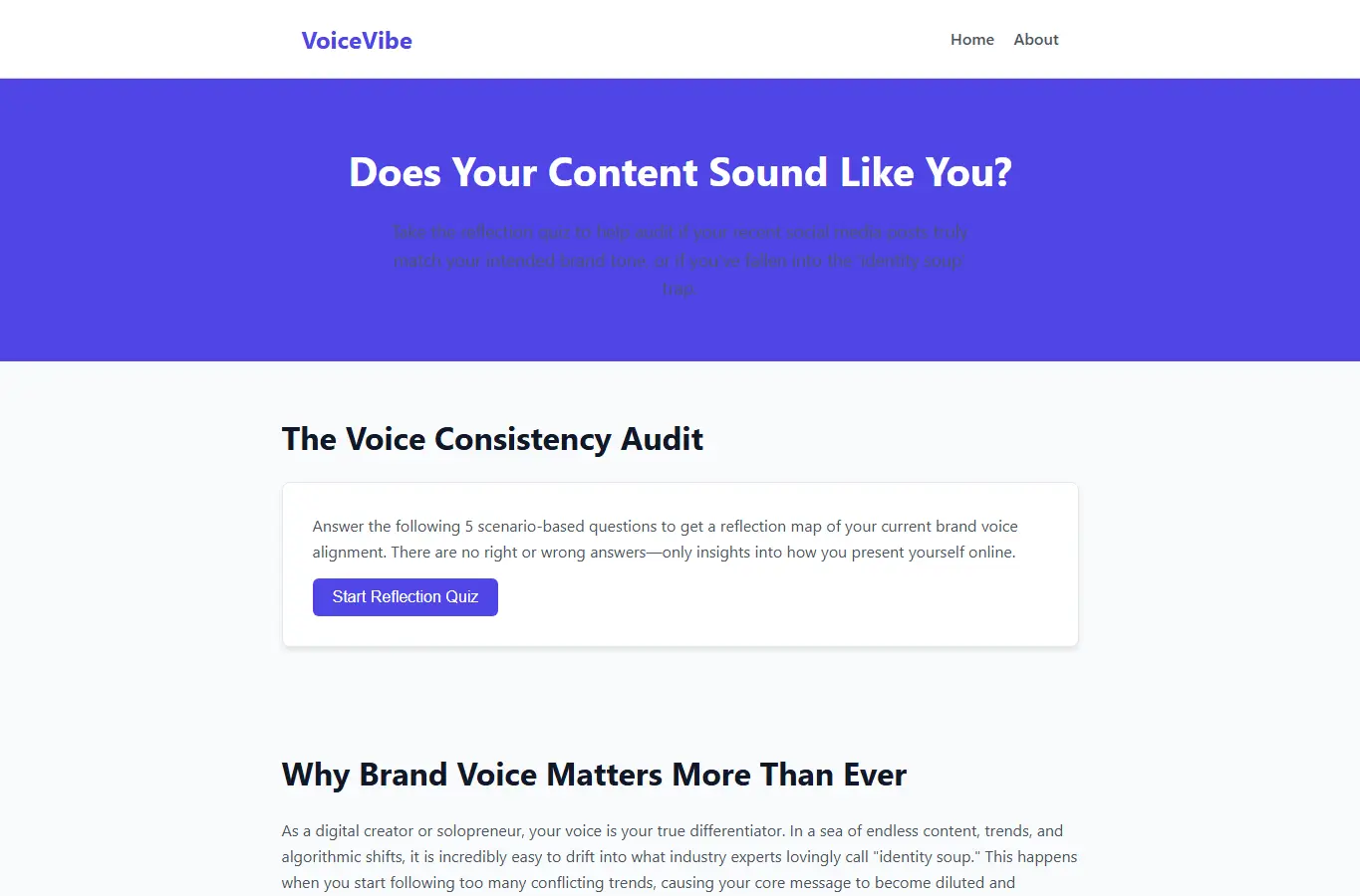 Screenshot of VoiceVibe: Personal Brand Scorer interface showing the project page in use